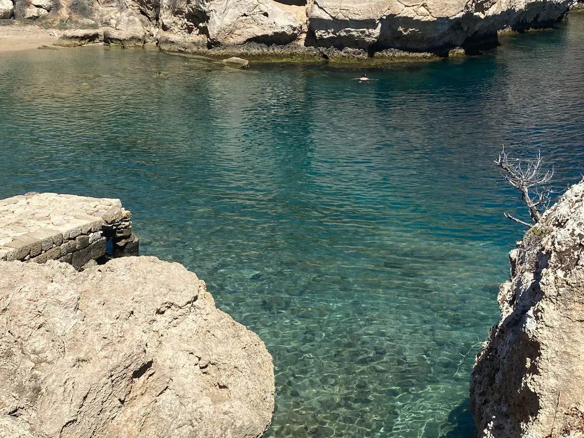 Wild Mykonos Experience Tour — image 3